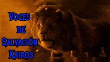 a picture of a lion with the words " voces de salvacion kairos " below it