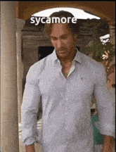 Sycamore GIF - Sycamore GIFs