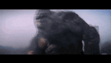 Kong Godzilla X Kong The New Empire GIF