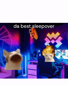 Meme Meme Cat GIF - Meme Meme Cat Roblox GIFs