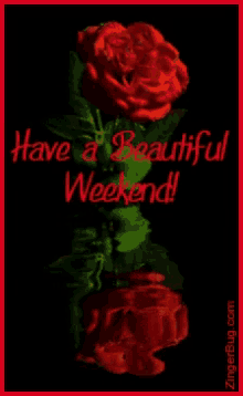Have A Beautiful Weekend GIF