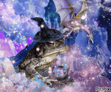 Wizard Frog Frog Wizard GIF - Wizard Frog Frog Wizard Wizard Toad GIFs