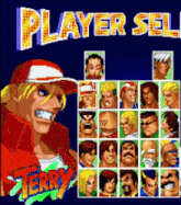 a player select screen for a video game with terry