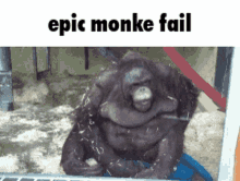 Epic Monke Fail Monke Fall Fail GIF - Epic Monke Fail Monke Fall Fail Monke Fall GIFs