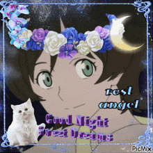 a picture of a girl wearing a flower crown and a cat with the words good night sweet dreams