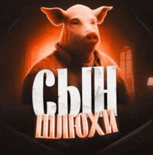 a poster of a pig with the words сын шуюхи on it