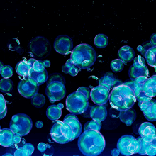 Bubbles Blue GIF - Bubbles Blue Black GIFs