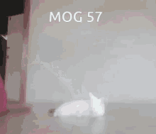 mog mog57