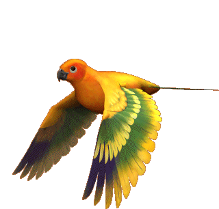 Flying Bird Gif Bird Sticker - Flying Bird Gif Bird Flapping Wings