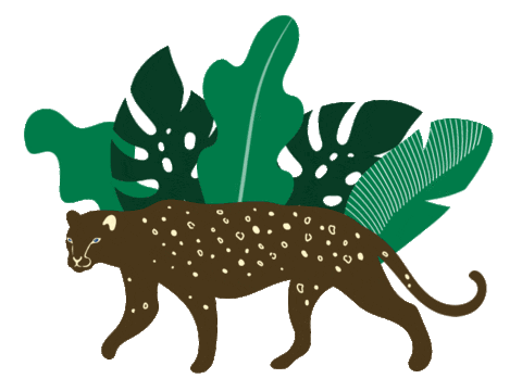 Wild Cheetah Sticker - Wild Cheetah Stickers