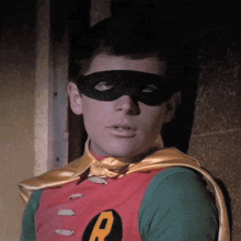 a man in a robin costume is wearing a black mask and a cape