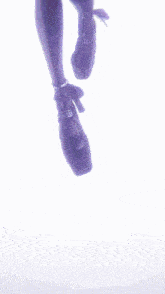 a close up of a person 's legs wearing a pair of black shoes