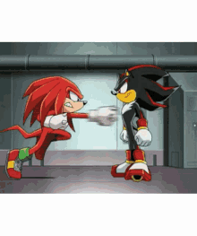 Knuckles The Echidna Shadow The Hedgehog GIF