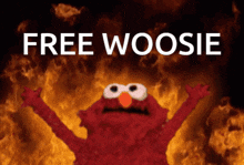 Woosie Free Woosie GIF - Woosie Free Woosie GIFs