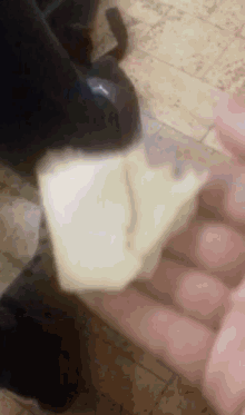 Cleese Friends GIF