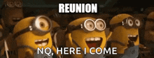 Reunion Minion GIF - Reunion Minion Despicable Me GIFs