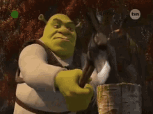 Osiol Hadrcor GIF - Osiol Hadrcor Pada Shrek GIFs