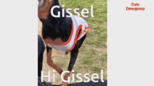 Sinflower Gisseliscute GIF - Sinflower Gisseliscute I Love You GIFs