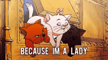 Because Im A Lady Cats GIF - Because Im A Lady Cats GIFs
