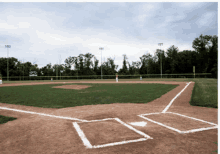 Volunteer Baseball GIF
