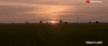 a sunset over a field with the words terbaik ke langit in the corner