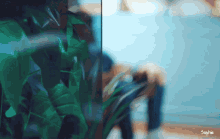a blurry picture of a plant with the name sophie written below it