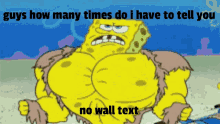 No Wall Texts No Wall Texts Discord GIF - No Wall Texts No Wall Texts Discord Discord Meme GIFs