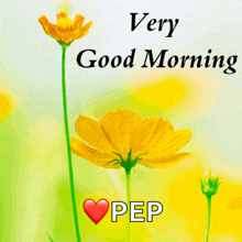 a very good morning message with yellow flowers and a heart