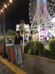 a woman is standing in front of a ferris wheel that says skycycle