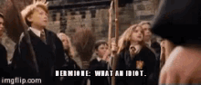 Hermione Granger Harry Potter GIF - Hermione Granger Harry Potter Idiot GIFs