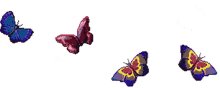 poletuj%C3%ADc%C3%ADmot%C3%BDli poletuj%C3%ADc%C3%ADmot%C3%BDli