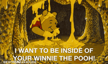a cartoon of winnie the pooh is covered in honey and says i want to be inside of your winnie the pooh