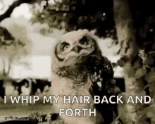 Whip My Hair Back And Forth GIFs | Tenor