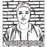 a man in a green jacket is standing in front of a brick wall with the name pandecoco on the bottom