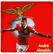 Andre Almeida GIF - Andre Almeida GIFs