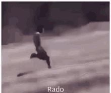 Rado GIF - Rado GIFs