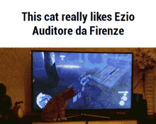 Cat Assassins Creed GIF - Cat Assassins Creed Firenze GIFs
