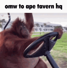 Ape Tavern Ape Tavern Driving GIF - Ape Tavern Ape Tavern Driving GIFs