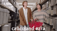 Ezra And Calico GIF - Ezra And Calico GIFs