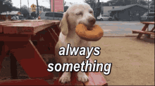 Always Something Dissapointed Dog GIF