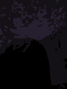 a person is standing in a dark room with a purple curtain behind them