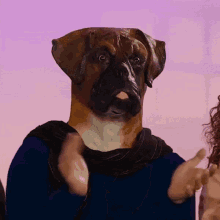 Dog Approved Dog Head GIF - Dog Approved Dog Head Dogs GIFs