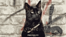 Cool Cat Yes Precisely GIF - Cool Cat Yes Precisely GIFs
