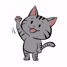 cute cat kitty gray hello