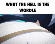 a picture of a person with the words what the hell is the wordle on it