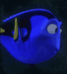 Dory Pixar GIF - Dory Pixar Finding Nemo GIFs