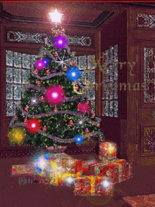 Feliz Navidad Merry Christmas GIF - Feliz Navidad Merry Christmas Christmas GIFs