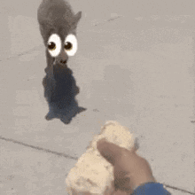 a person is feeding a cat a tortilla with cartoon eyes .