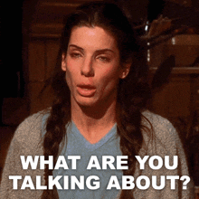 What Are You Talking About Sally Owens GIF - What Are You Talking About Sally Owens Sandra Bullock GIFs