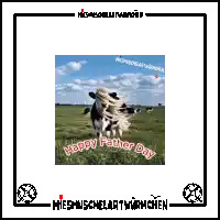 a picture of a cow in a field says happy father day
